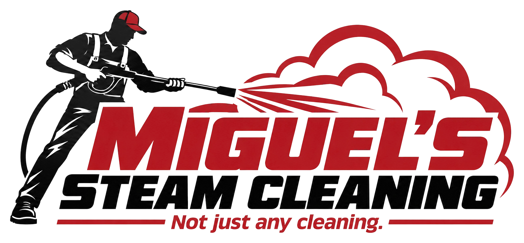 Miguel's Steam Cleaning